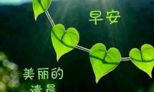 汗蒸以后脑袋晕晕的-汗蒸后头发湿的怎么办专区_汗蒸头后一直冒汗怎么回事专区_汗蒸后头一直出汗网